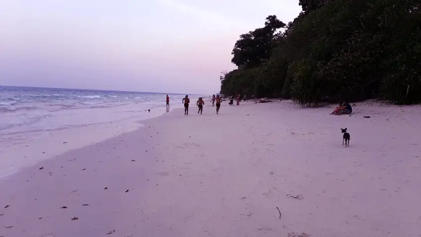 Port Blair | Havelock | Neil island