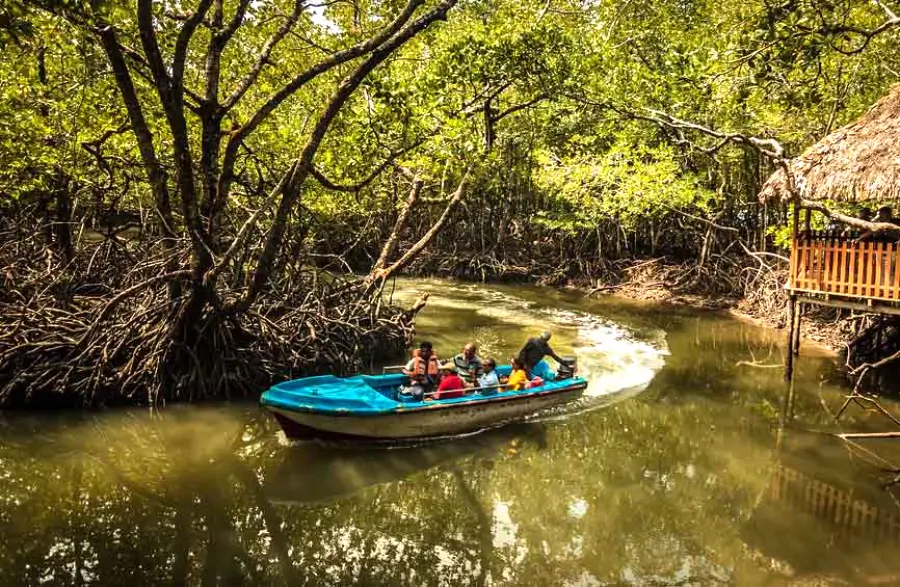 Andaman with baratang