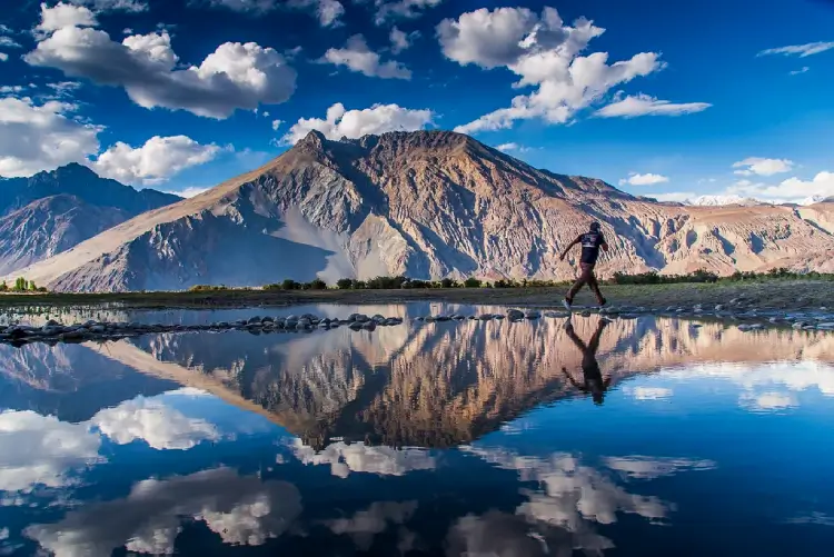 Amazing Leh with Nubra & Pangong