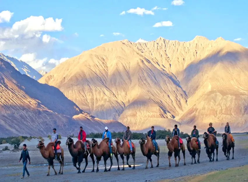 Amazing Leh with Nubra & Pangong (Group)